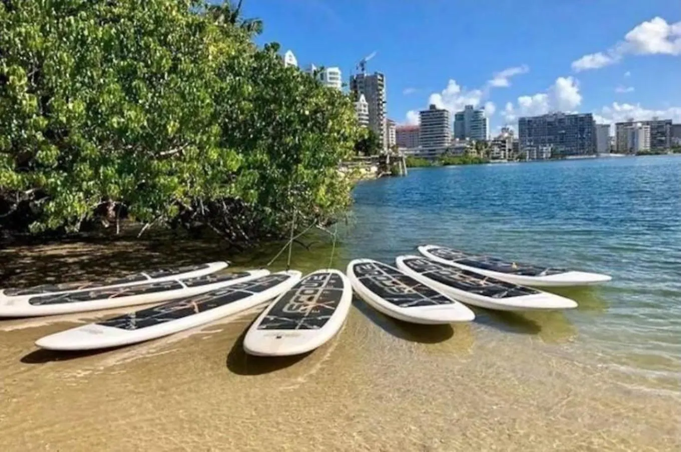 Pr Rentals Walk To La Placita & Condado Beach 산후안 0*,  푸에르토리코